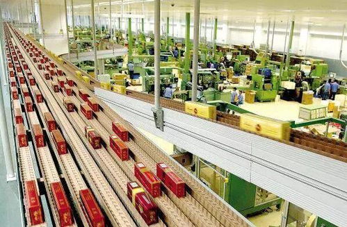 高考倒計(jì)時(shí)50天，揭秘那些冷門但潛力無限的“技術(shù)+服務(wù)”專業(yè)